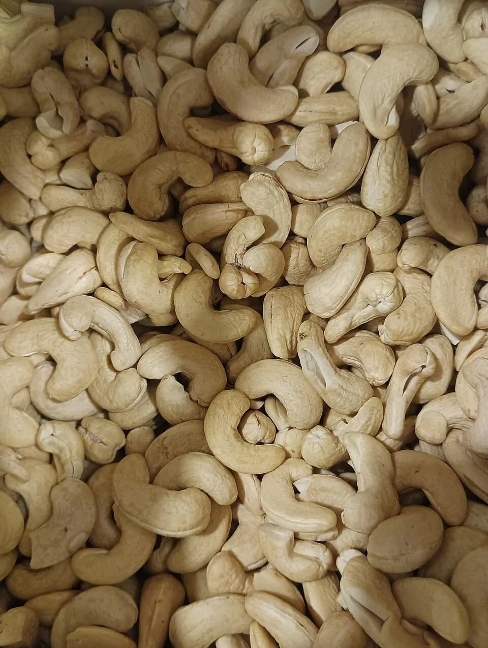 Cashew (W180/W240)