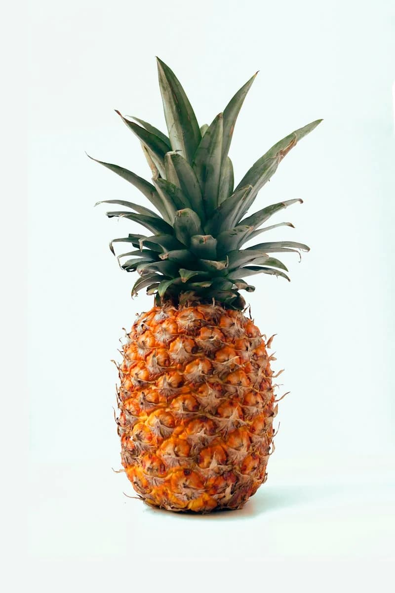 MD-2 Pineapple